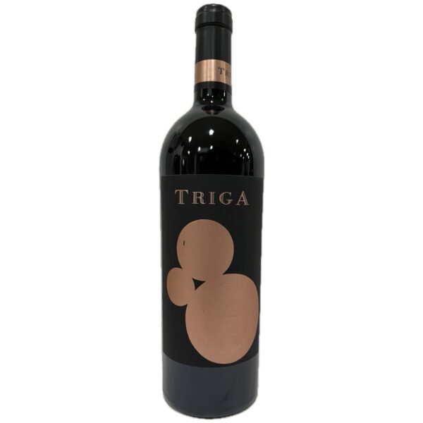Triga 2012