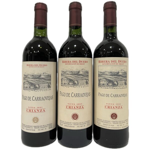 Cata Vertical Pago de Carraovejas Crianza 2002, 2003 y 2006