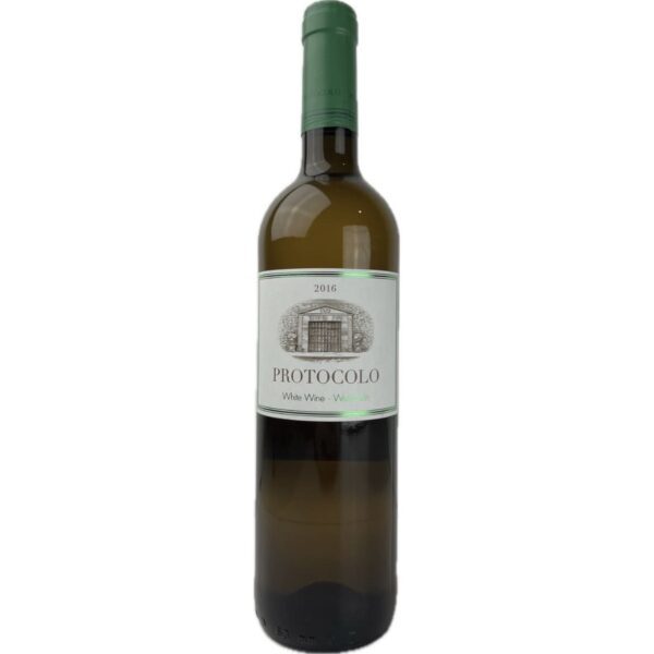 Protocolo Blanco 2016